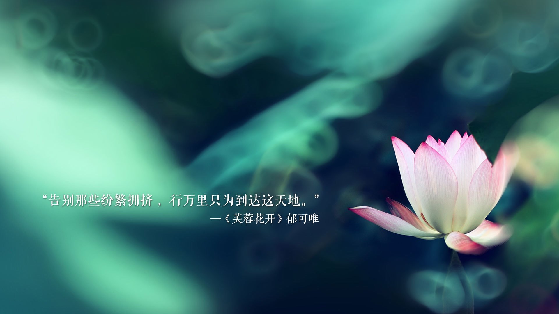 篮球运动员体能监测与训练调整研究，篮球运动员体能监测与训练调整研究报告