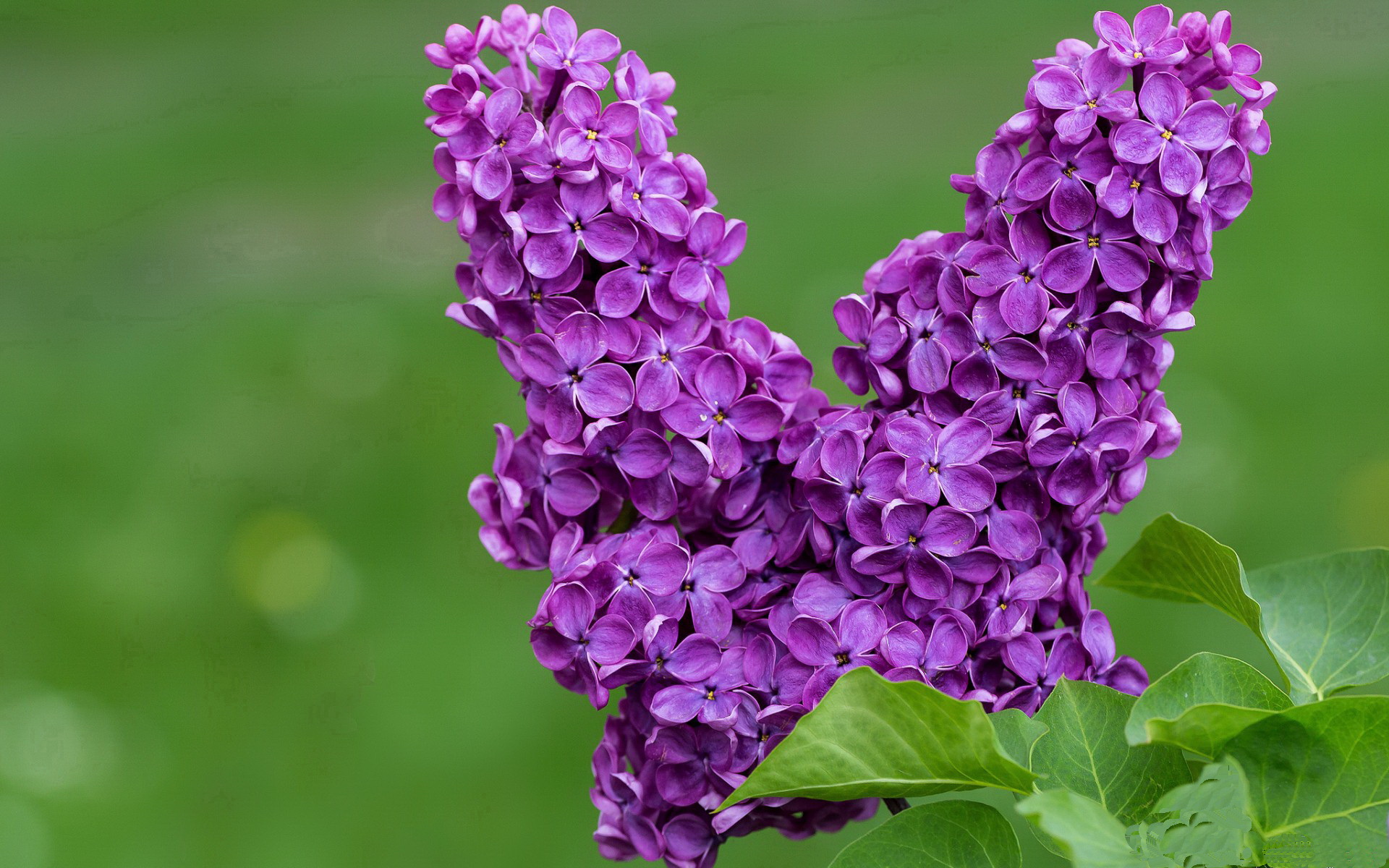 高校体育课程质量控制体系研究，高校体育课程设置