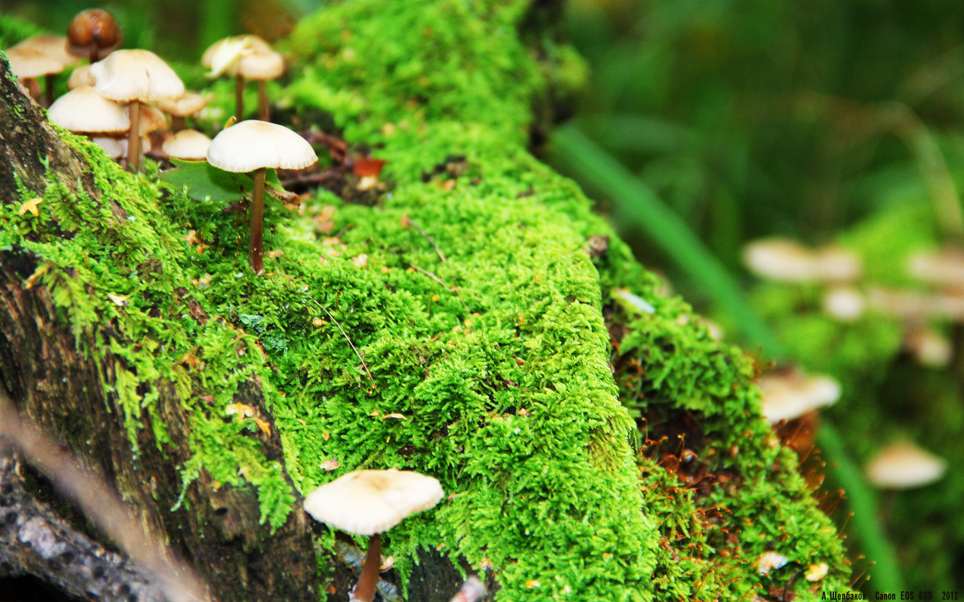 国际热身赛中国队夺冠 技术打法备受称赞，国际热身赛赛程