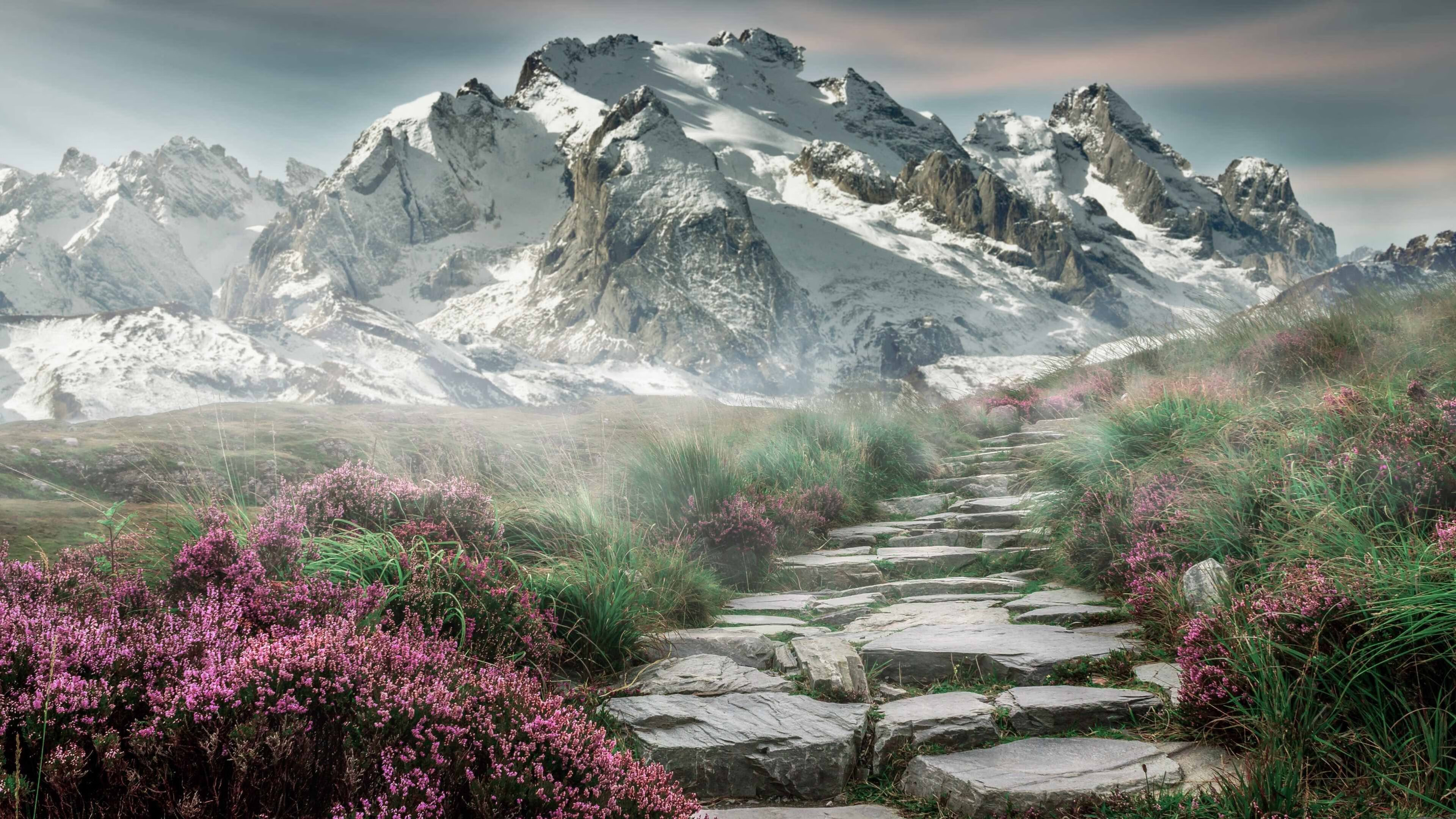 互联网+足球深度融合,推动行业与新兴技术的深度对接,互联网+体育