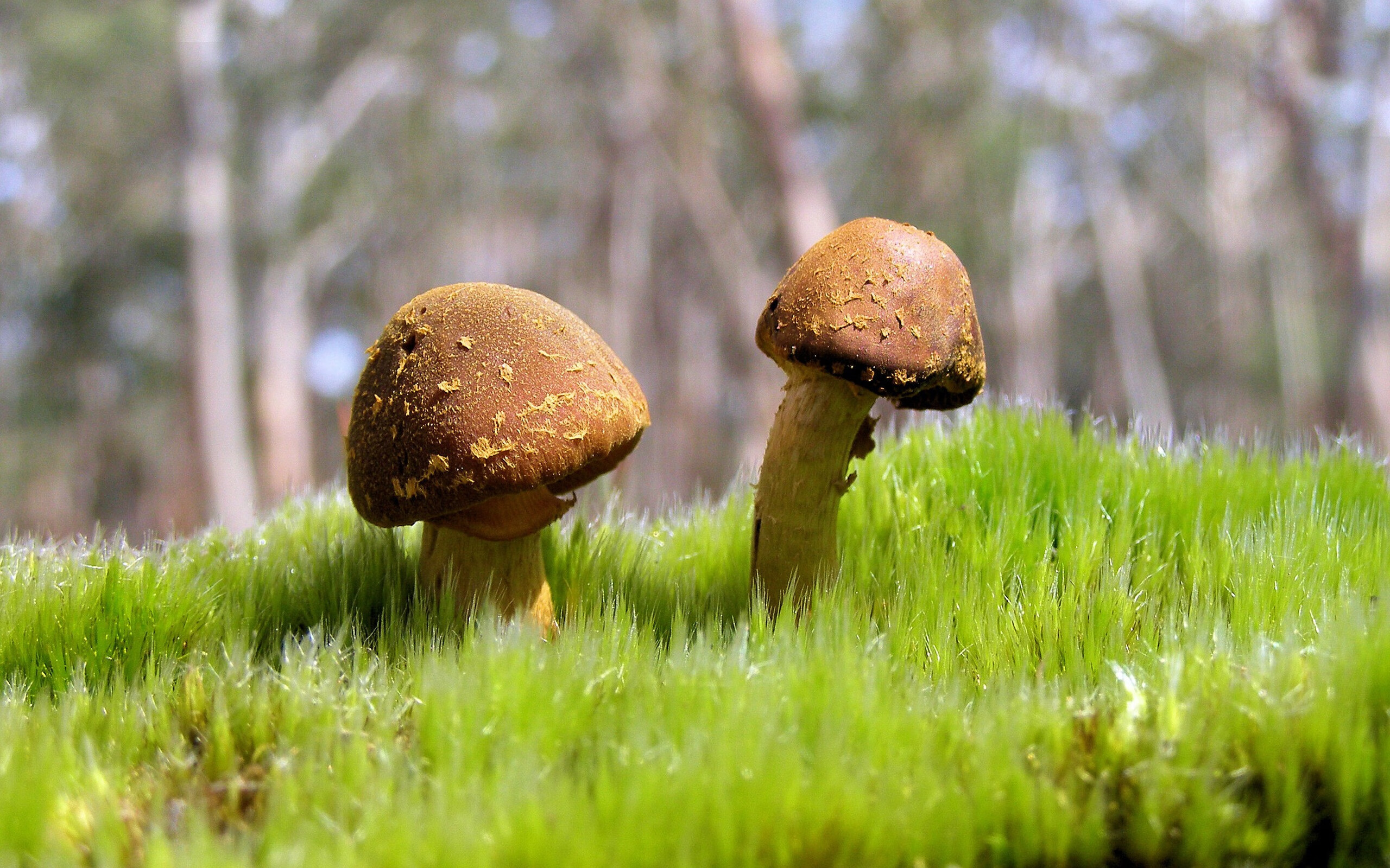 俱乐部与多所高校达成合作共建研究平台推动科学训练发展,俱乐部与学校合作办学协议