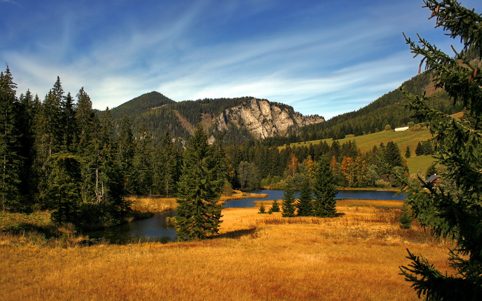 凯特·道格拉斯完美配速夺取金牌,凯蒂 道格拉斯