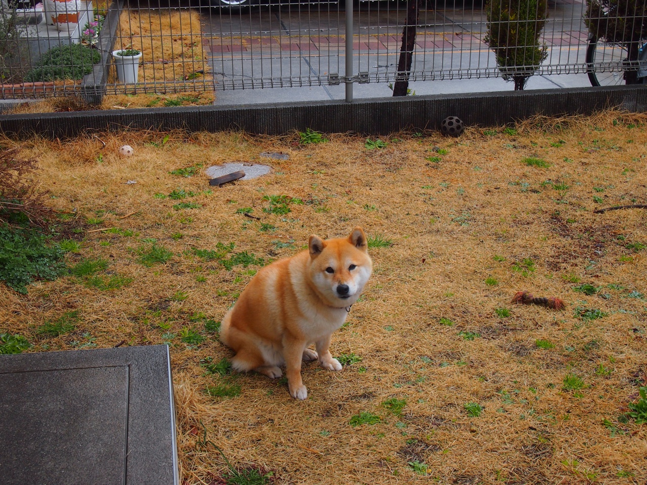 国际羽毛球锦标赛赛程公布,国际羽毛球锦标赛比分