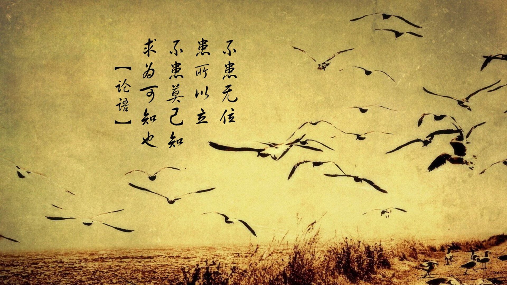 开云体育app-女足联赛设置战术挑战奖项鼓励多元化比赛风格，女足比赛特点