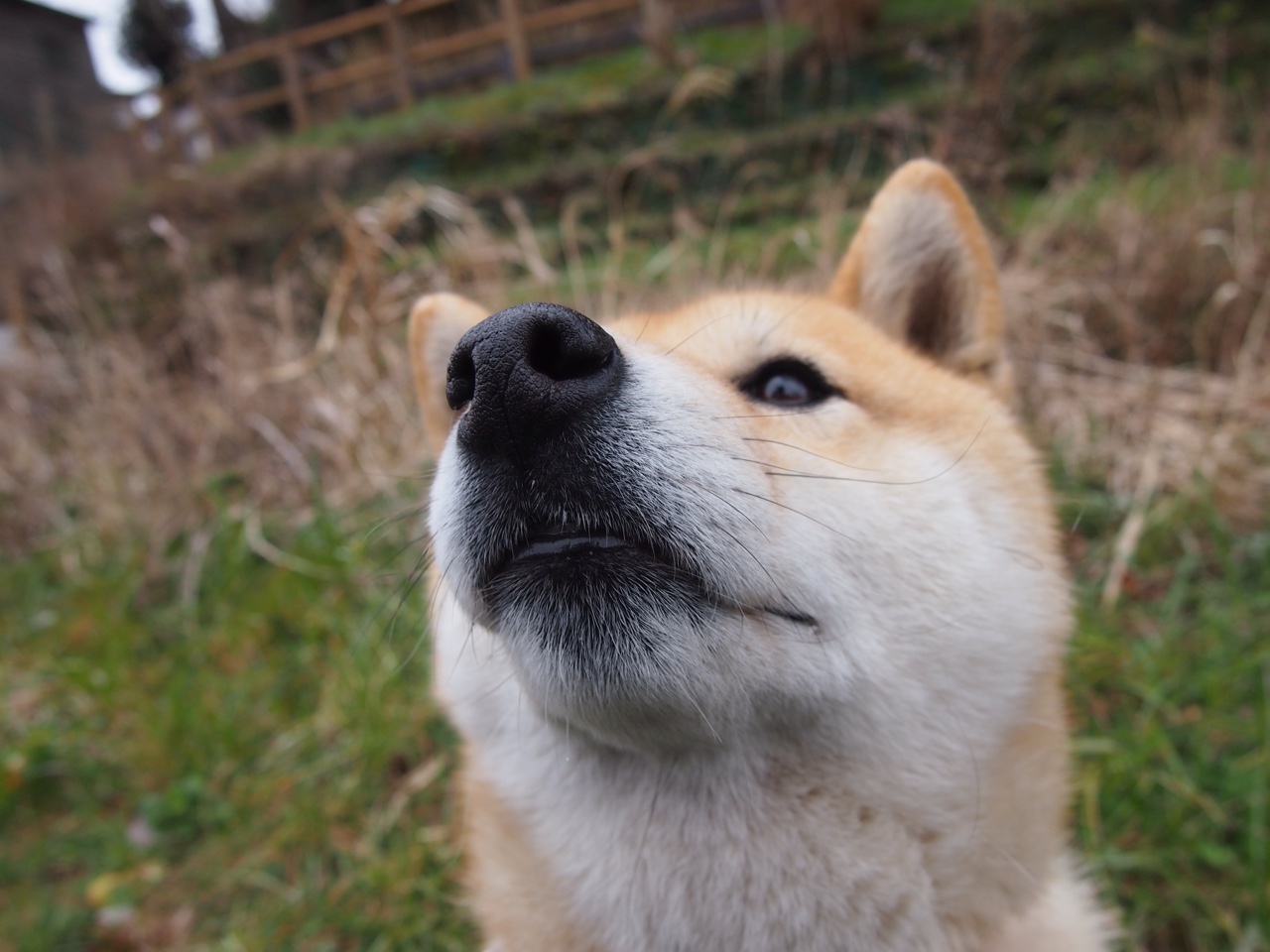 布克节奏变化让对手防不胜防,布克入场