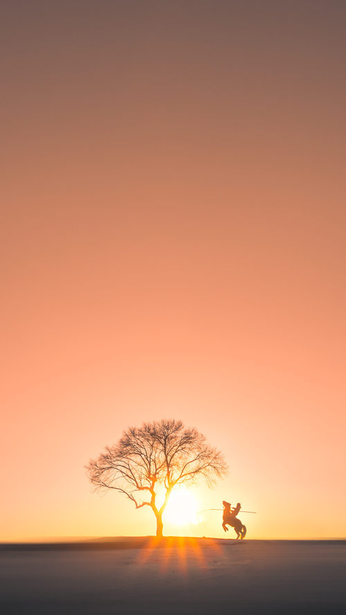 德甲赛场盛宴:攻防转换间的精彩佳作,德甲防守最好的球队