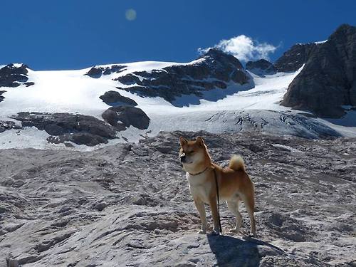 西甲高潮迭起:超级巨星演绎巅峰战役,西甲经典比赛